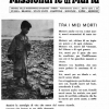 Tra i miei morti